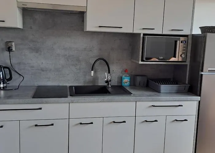 Проживание в семье Sawina *