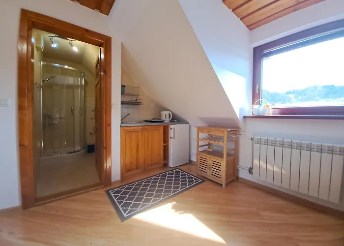 Проживание в семье Sawina *