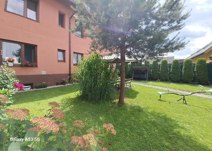 Sawina Проживание в семье