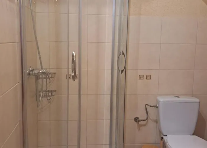 Проживание в семье Sawina